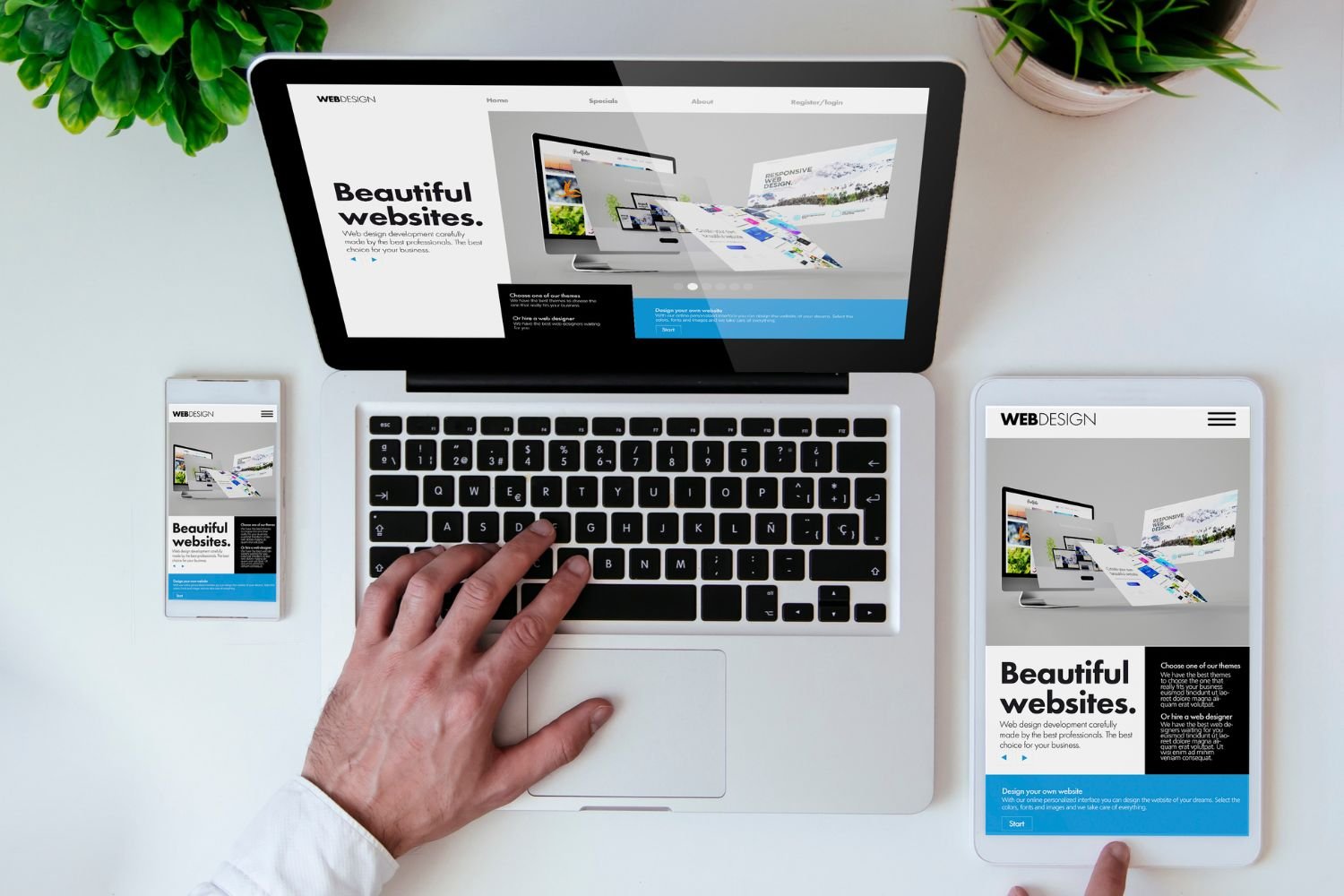 custom website design custom website design